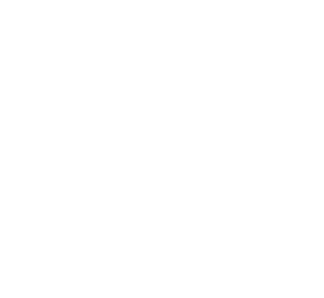 DICK SCHOON