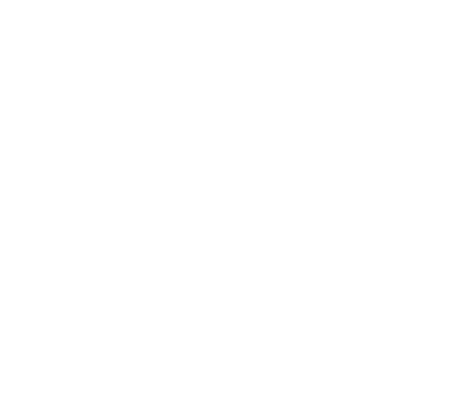 HANS