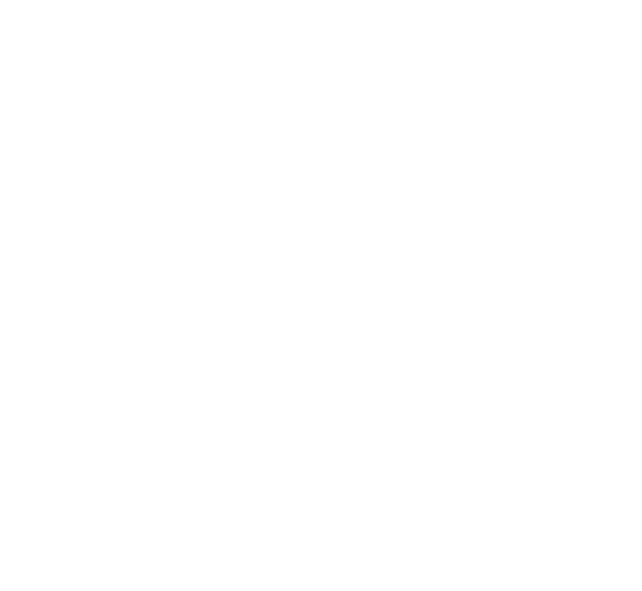 STERN