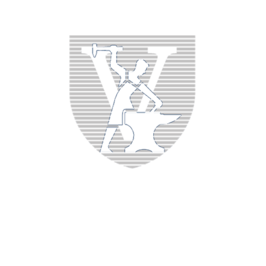 Visser